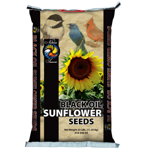 Natures Season Sunflower Seed ( Black ) Natures Season, natures season, bird, bird food, bird feed, bird seed,  Sunflower Seed, sunflower, black